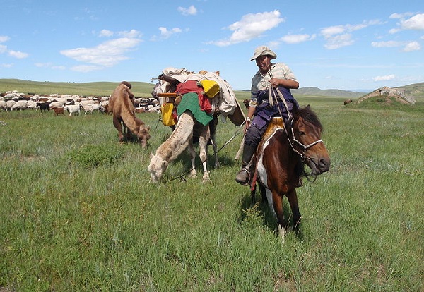 Modern-day steppe herder