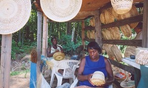 Sweetgrass basket weaving